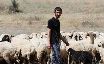 genç girişimci modern çiftlikte tarım ve hayvancılık yapıyor