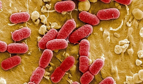 Antibiyotik artık işe yaramıyor mu?