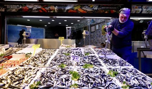 Hamsi bolluğu devam ediyor